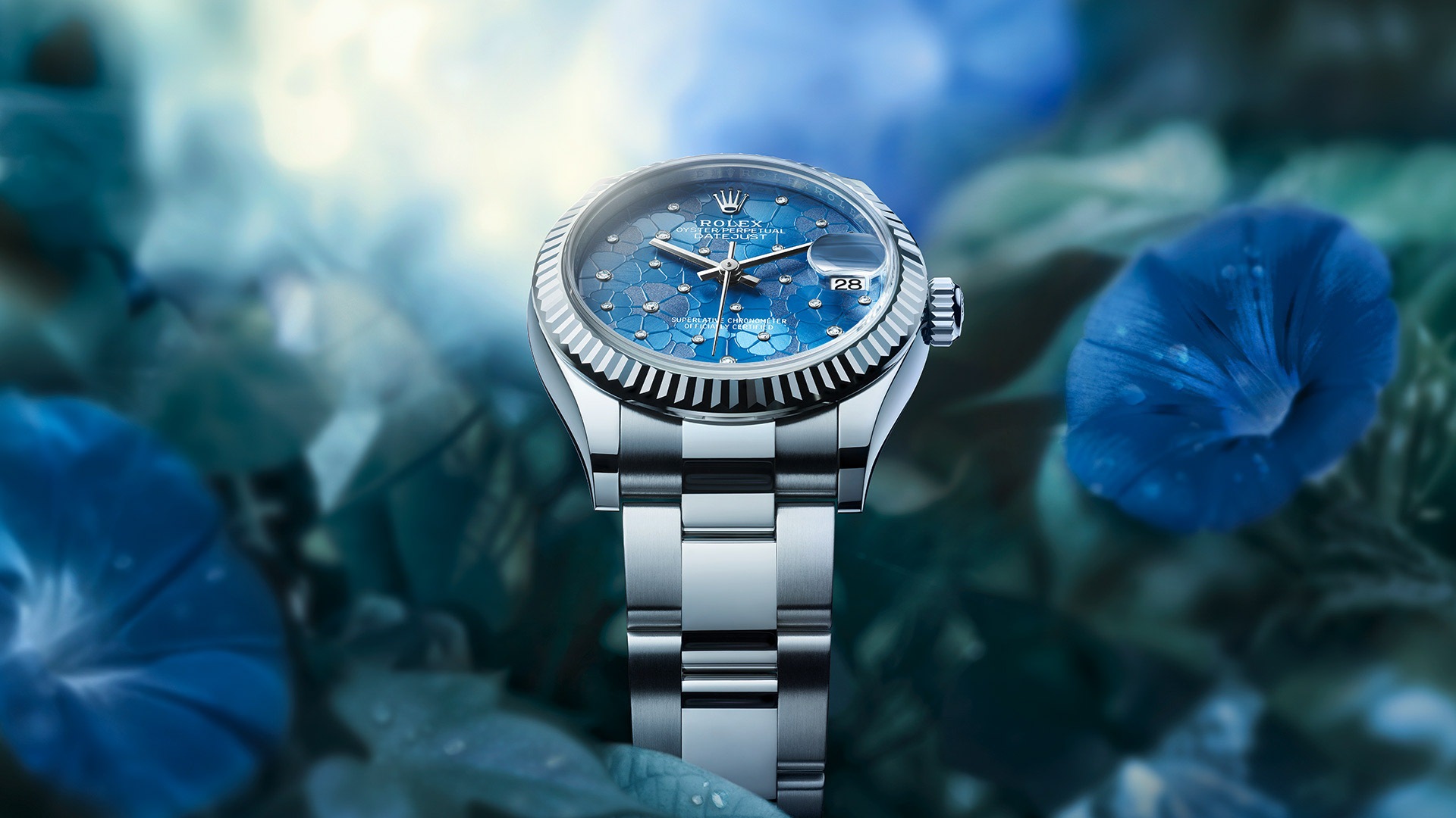New datejust hot sale