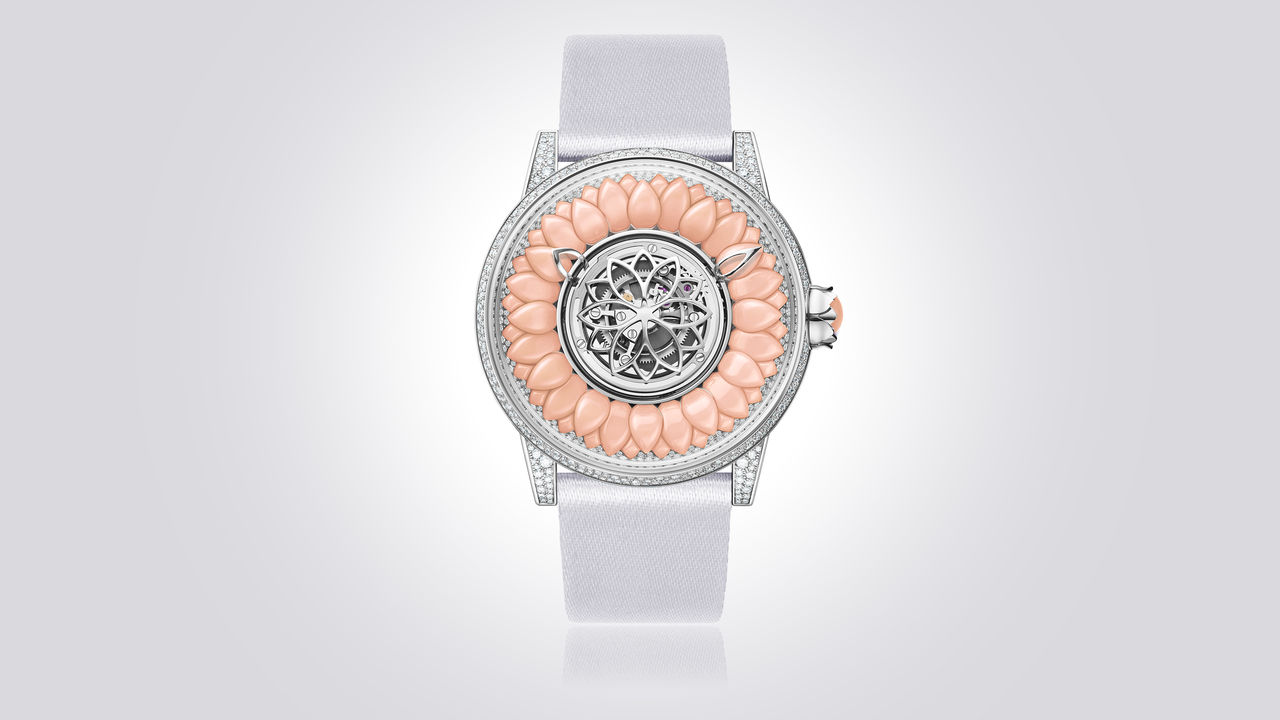 Dahlia-Corail-Rose.png