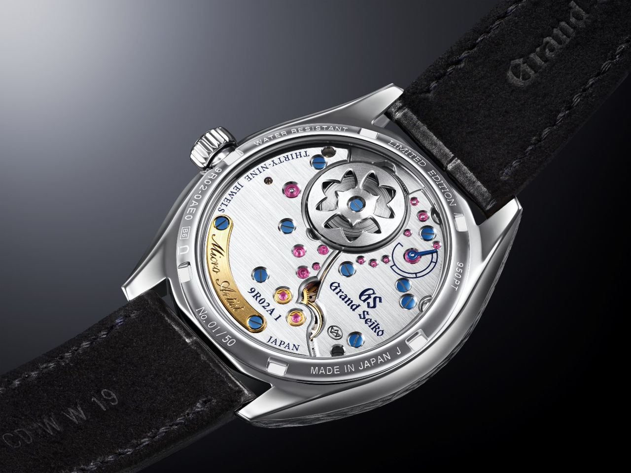 SBGZ009_caseback.jpg
