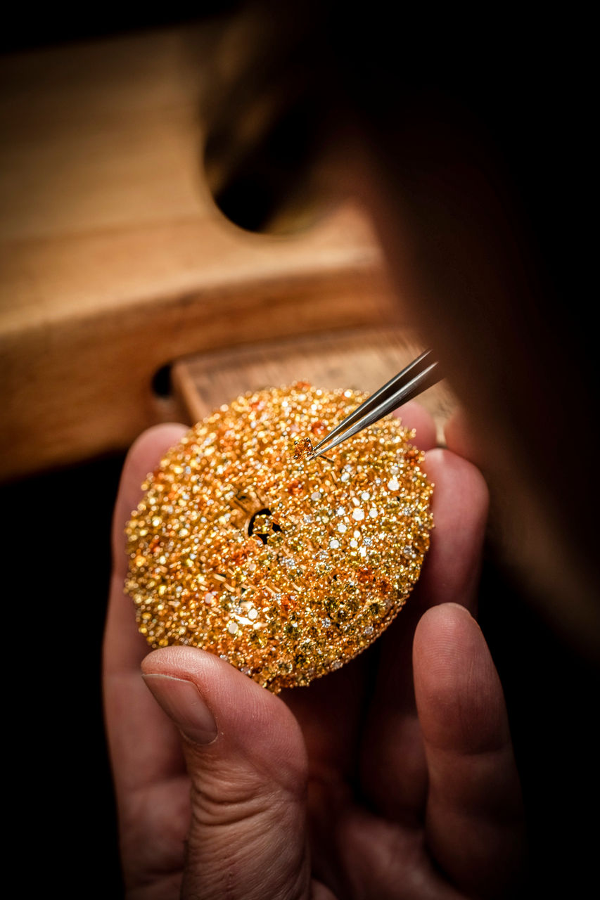 Floraison du Nénuphar automaton